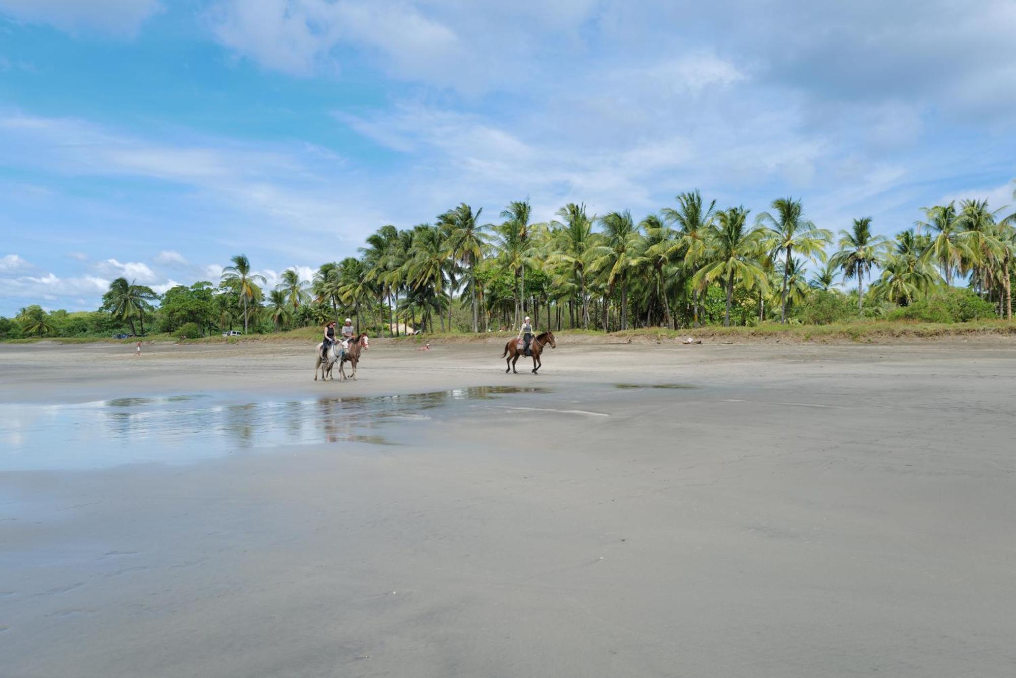 Mundo Milo Eco Lodge Paraiso  Luaran gambar