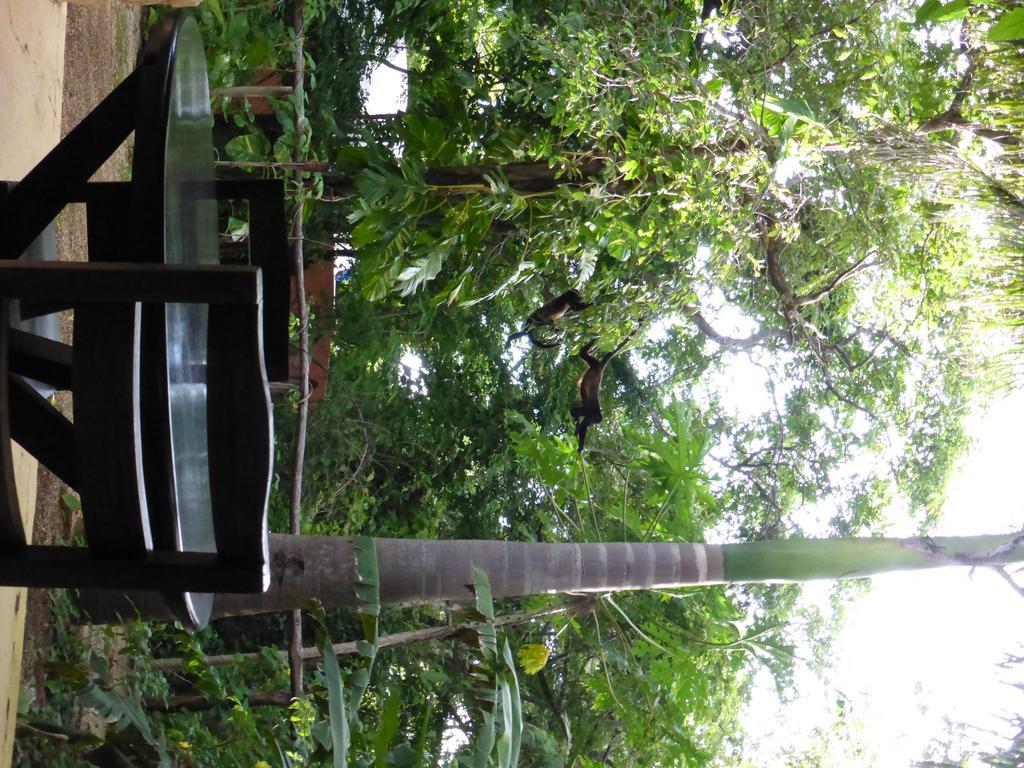 Mundo Milo Eco Lodge Paraiso  Luaran gambar