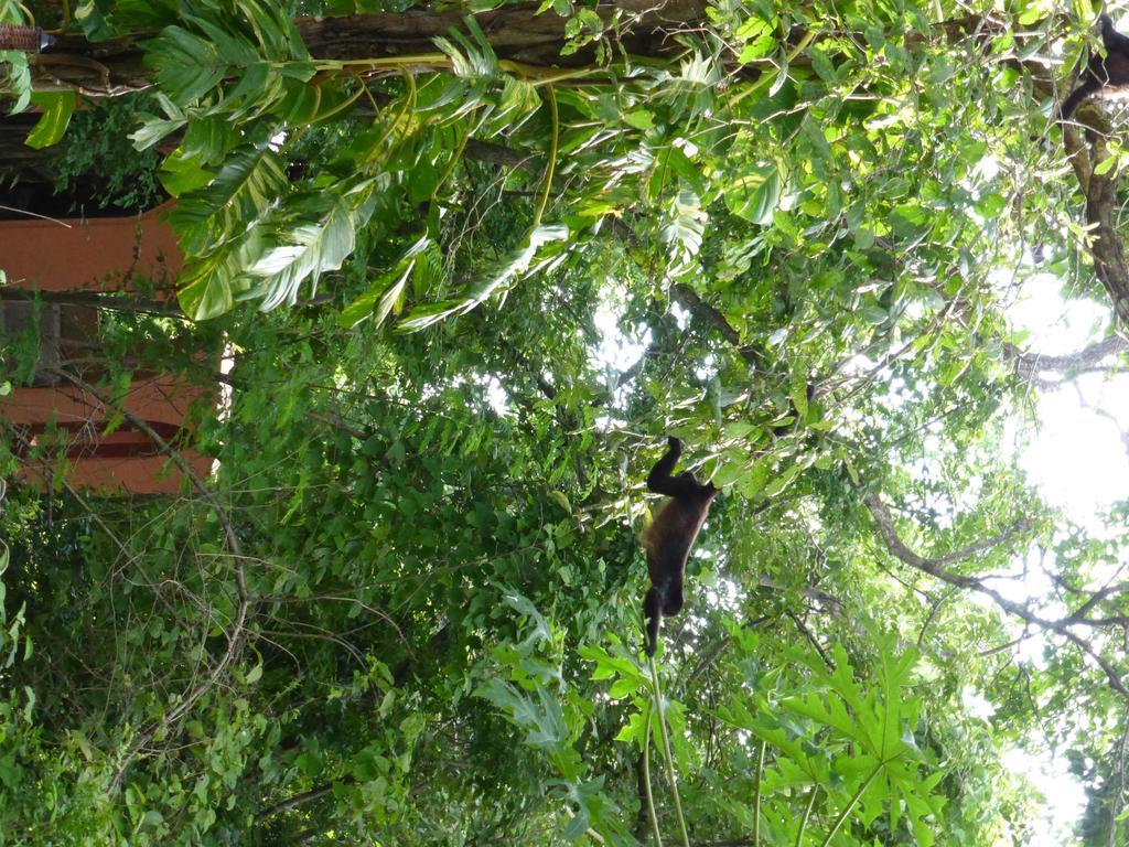 Mundo Milo Eco Lodge Paraiso  Luaran gambar