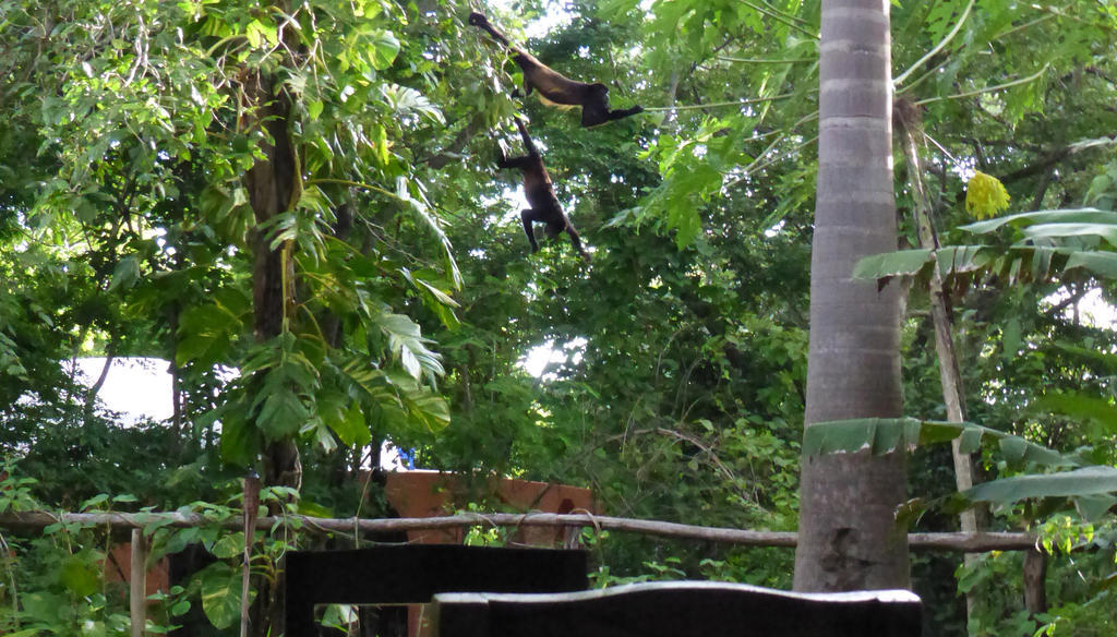 Mundo Milo Eco Lodge Paraiso  Luaran gambar